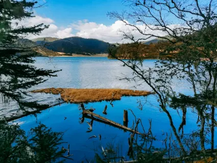 77ספינס קזינו אפליקציה לנייד